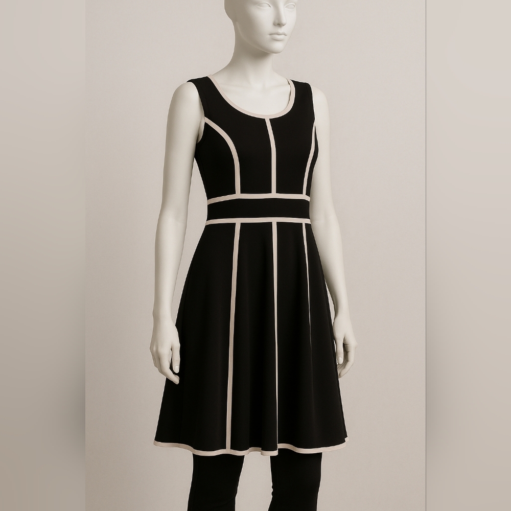 Cleo Black Dress with Gold Zipper